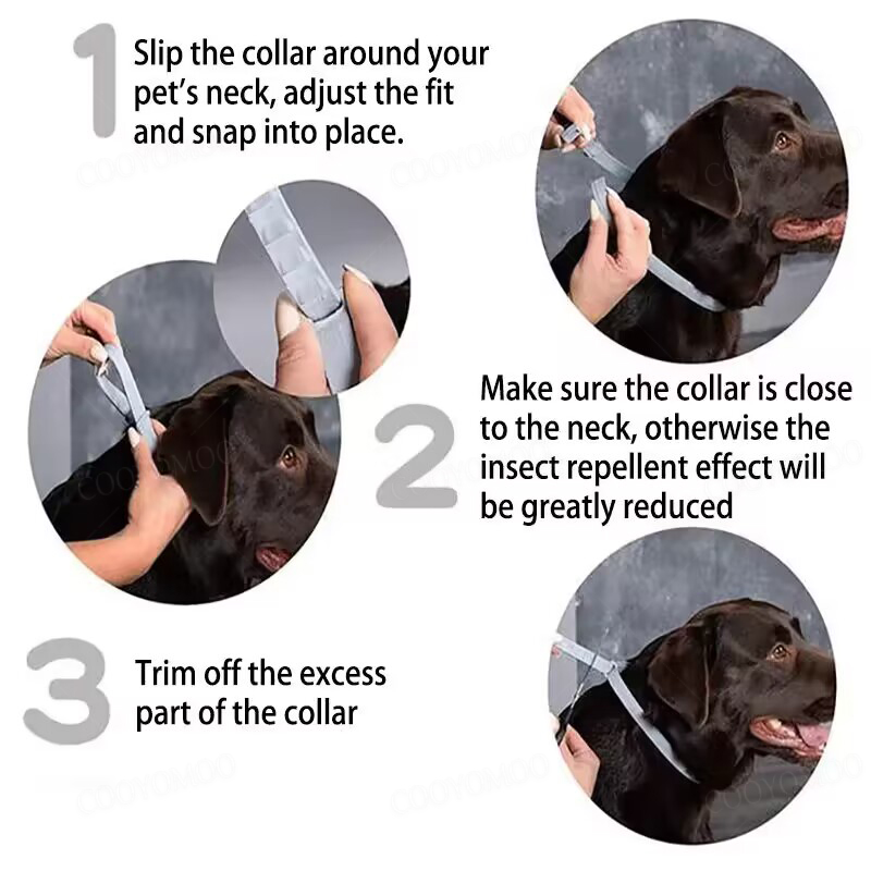 Dog Anti Flea And Tick Collars - Pet Immune Pir Sensor review and price