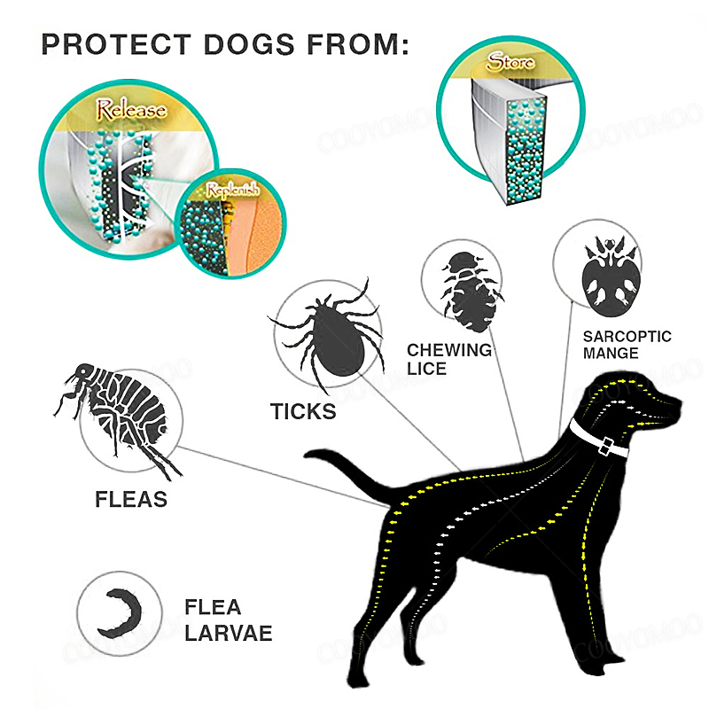 Dog Anti Flea And Tick Collars - Pet Immune Pir Sensor review and price