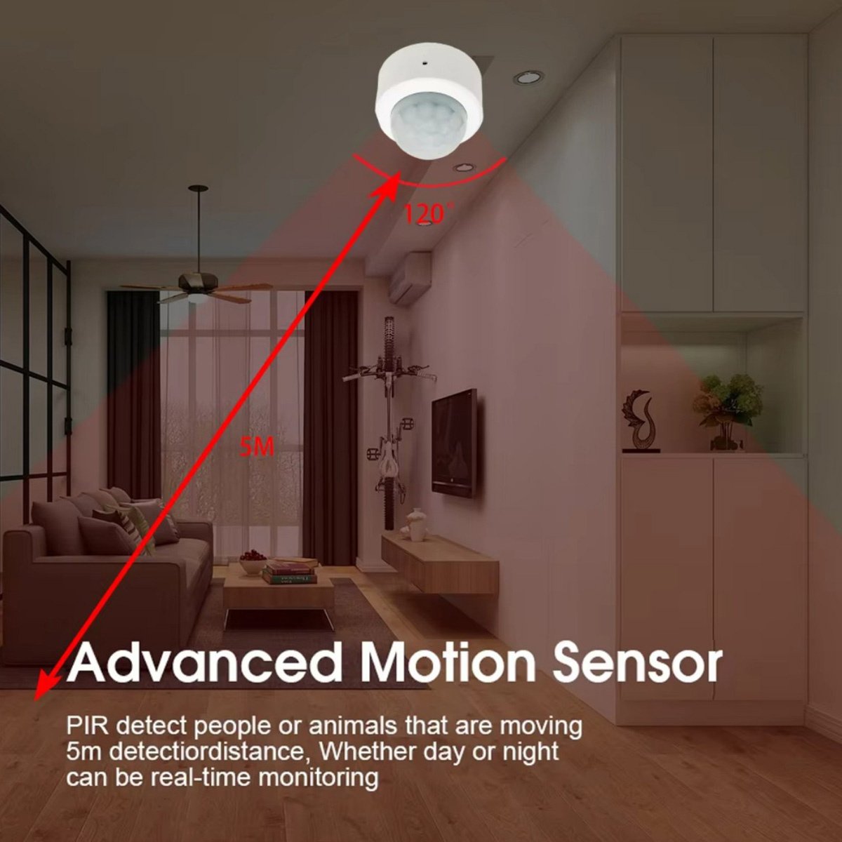 Zigbee PIR Motion Sensor Human - Home Security Device review and price