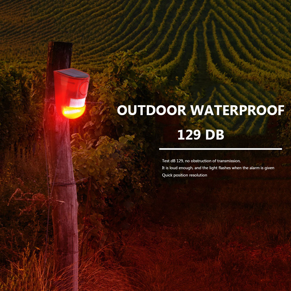 Solar Infrared Motion Sensor A - Pet Immune Pir Sensor review and price