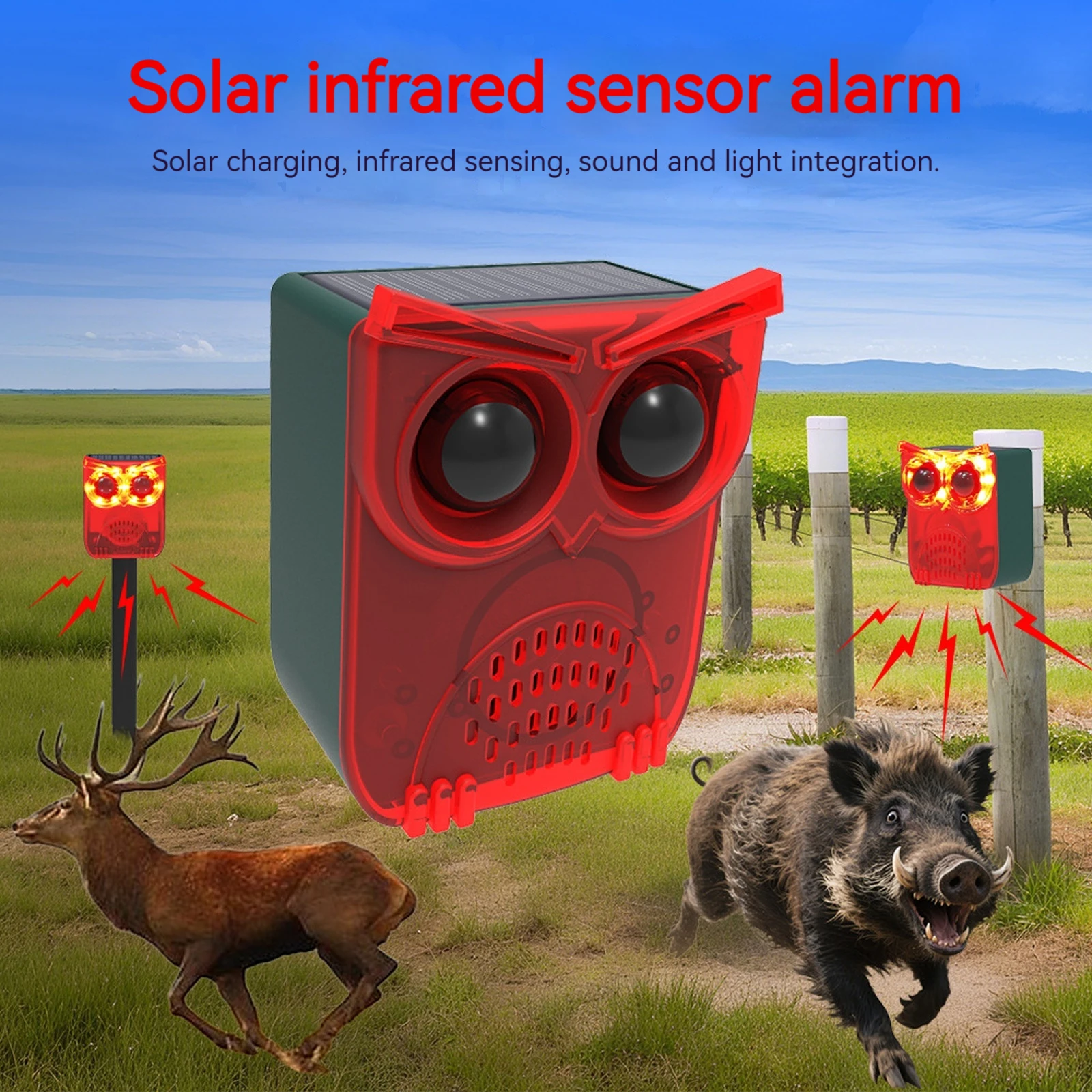 Outdoor Waterproof Solar Outdo - Pet Immune Pir Sensor review and price