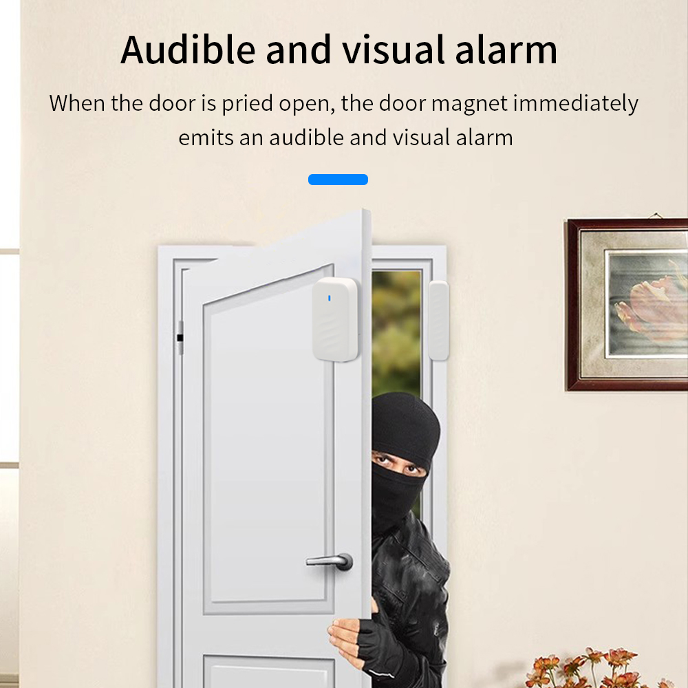 DS3 TTLOCK Wireless Remote Con - Home Security For Windows review and price