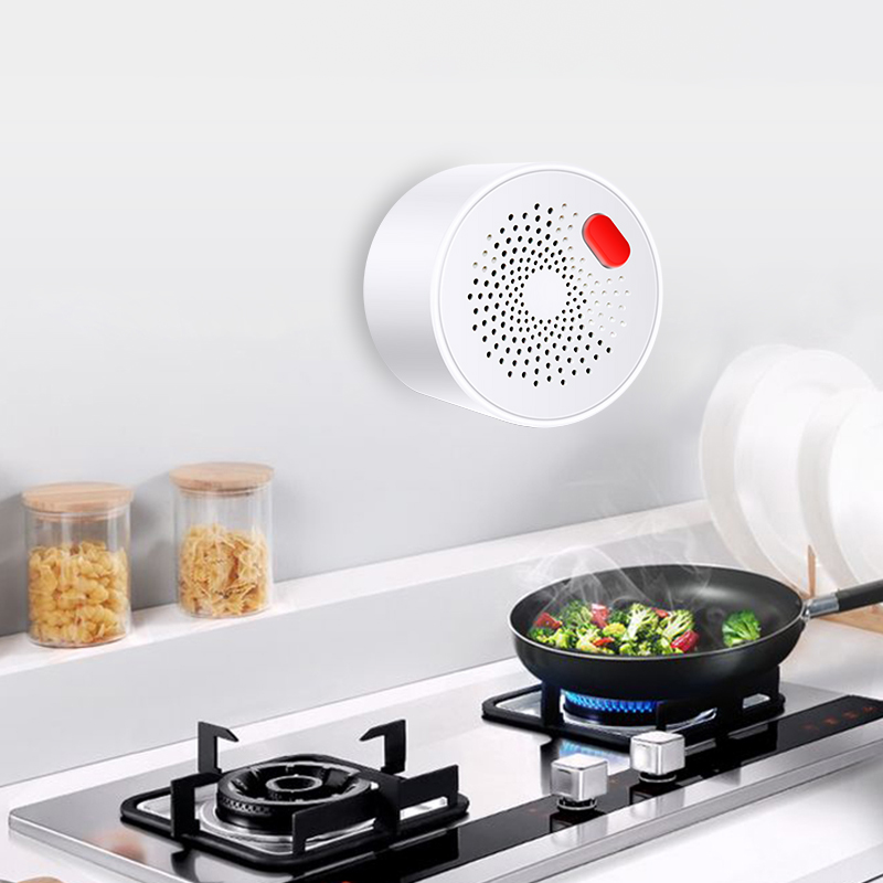 Tuya Smart Home Wifi Natural G - Home Security Device review and price