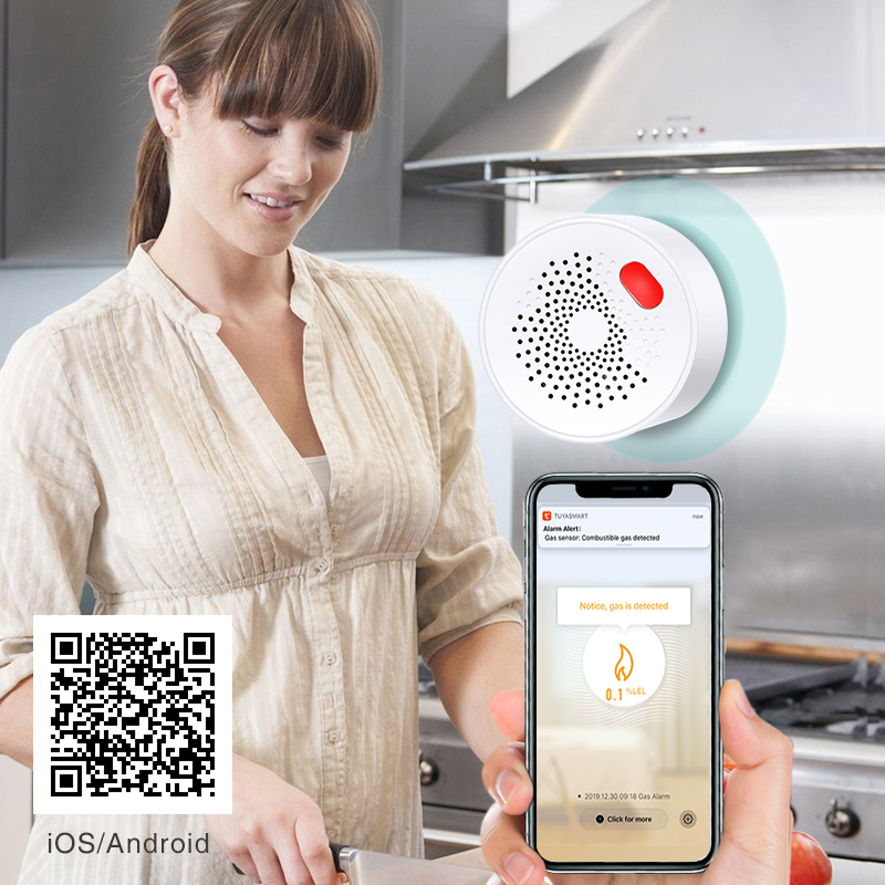 Tuya Smart Home Wifi Natural G - Home Security Device review and price